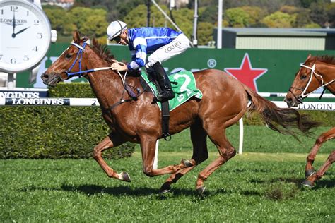 redzel stakes betting|2024 Russell Balding Stakes Odds .